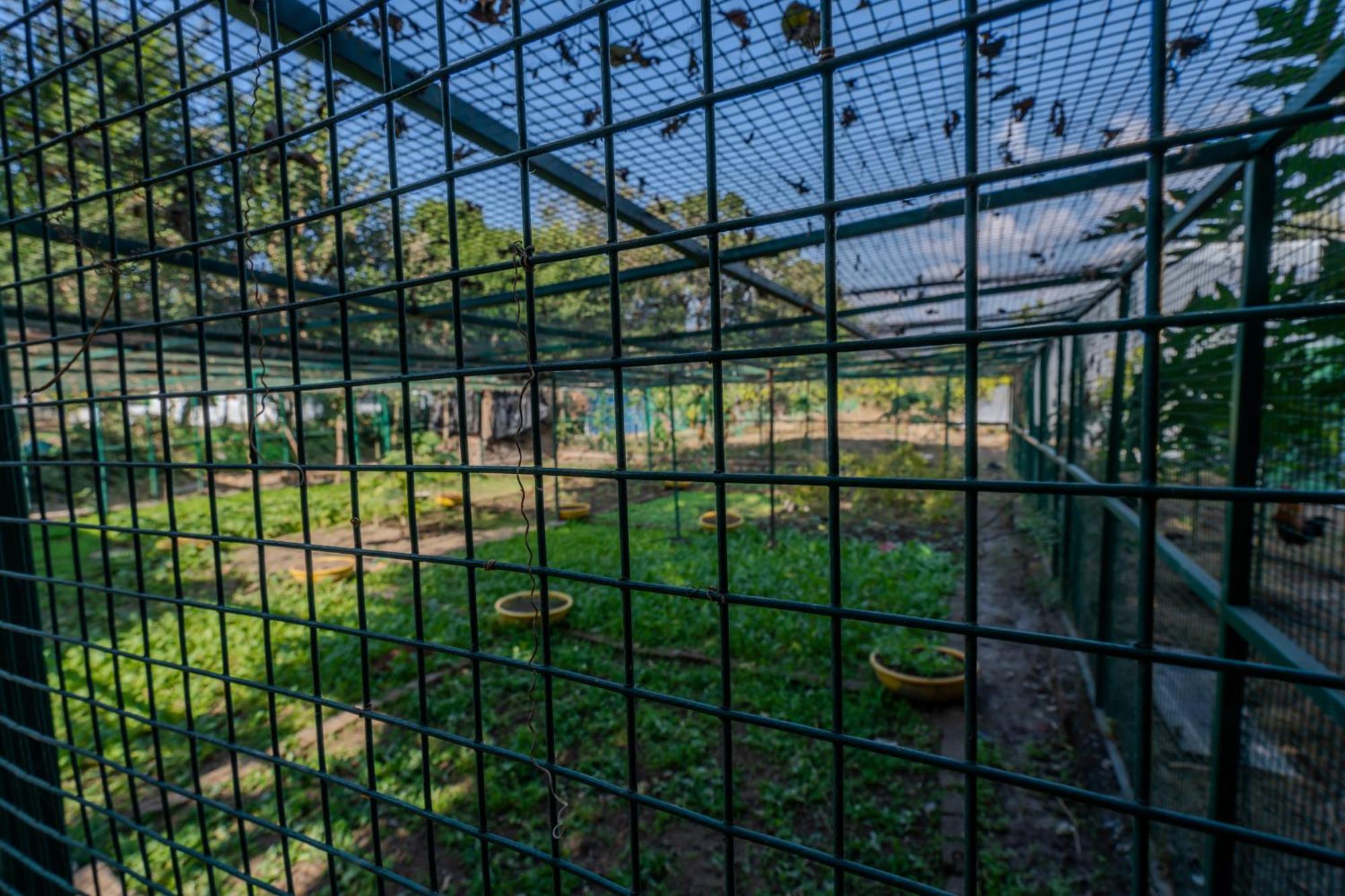 Saffronstays Timber Crest デヘラードゥーン エクステリア 写真